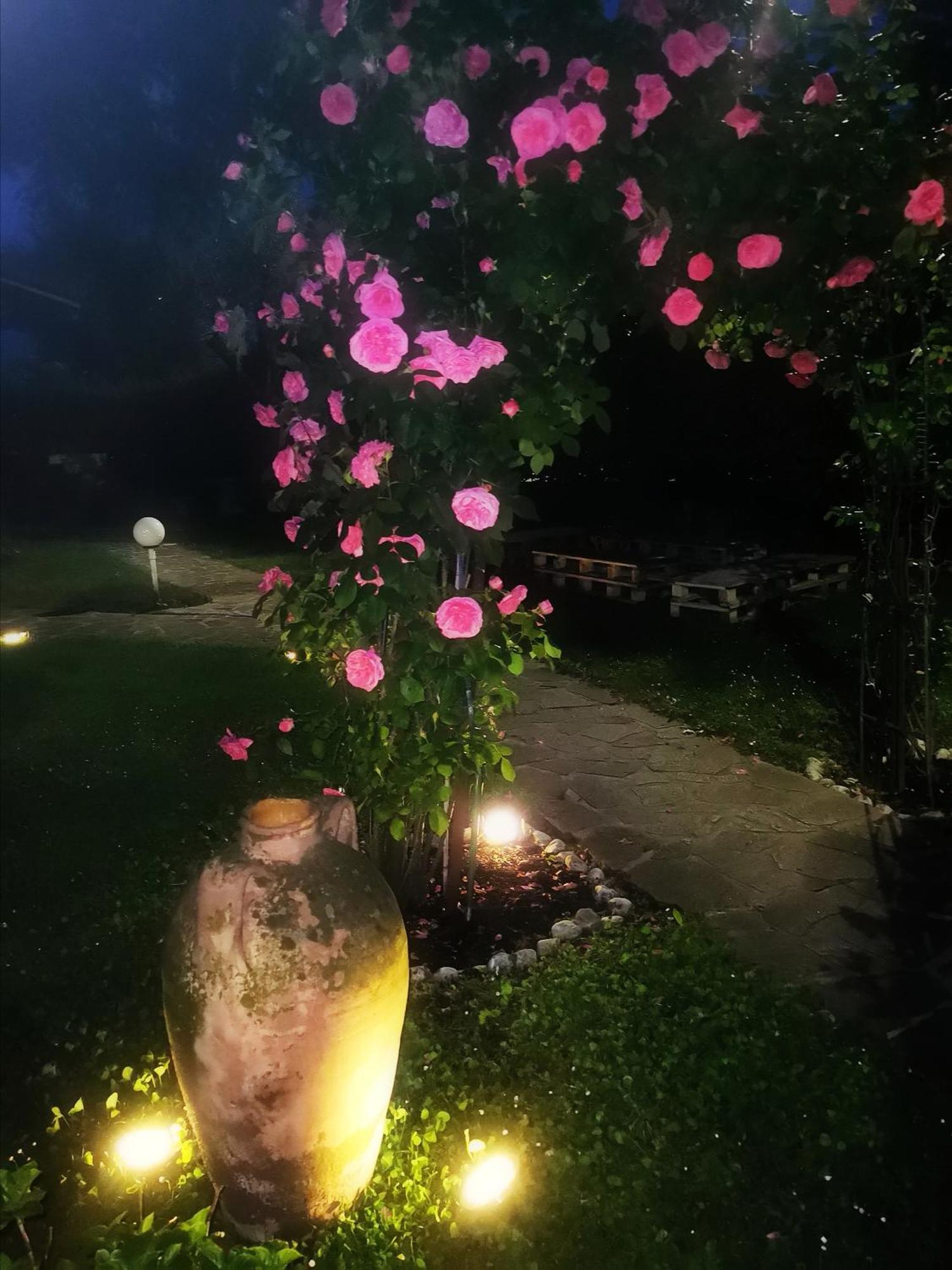 Acquachiara Iseo Deluxe Bed & Breakfast Iseo Center With Garden And Parking Inside Foresteria חדר תמונה